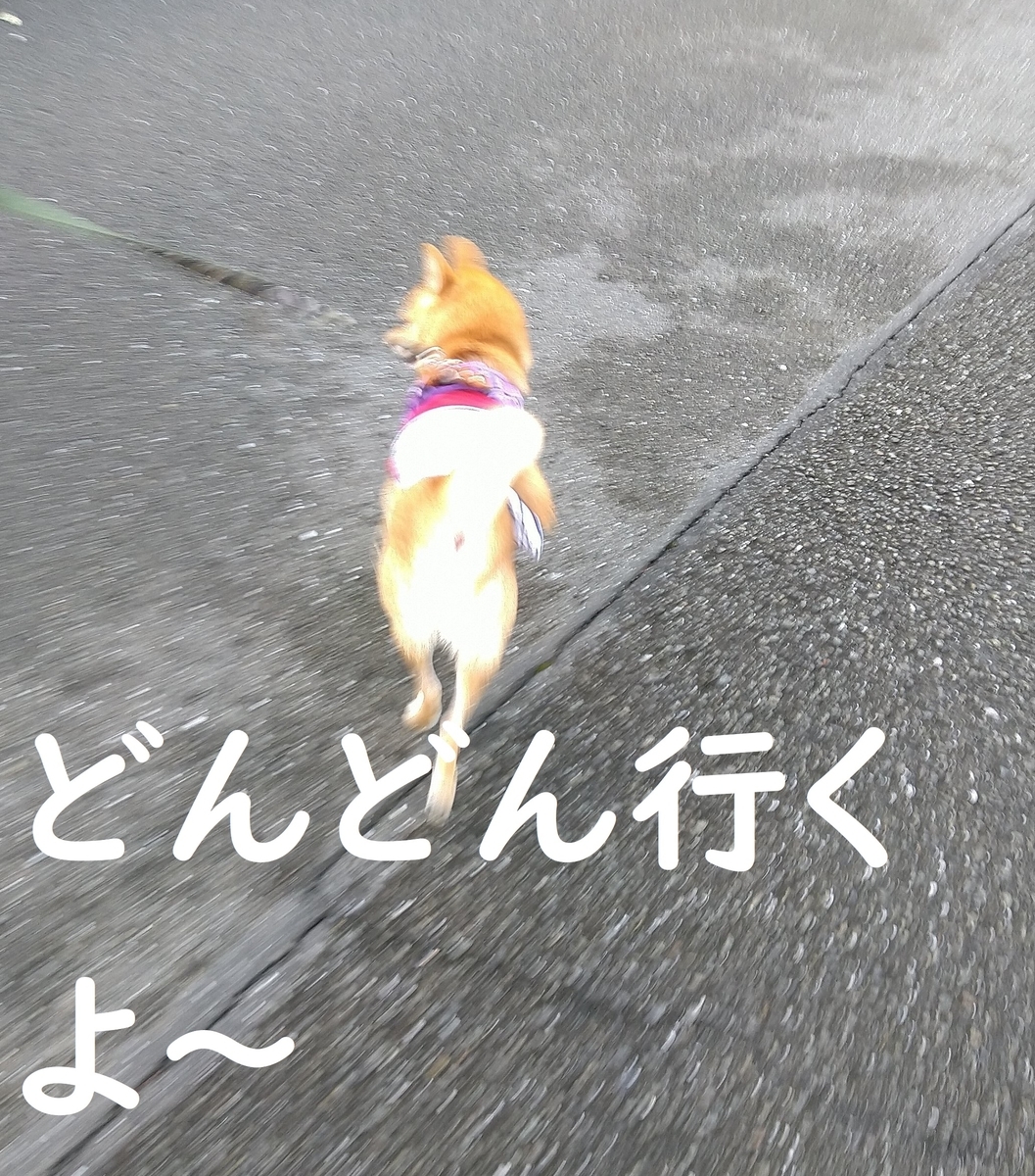 f:id:hanatara:20200916112018j:plain