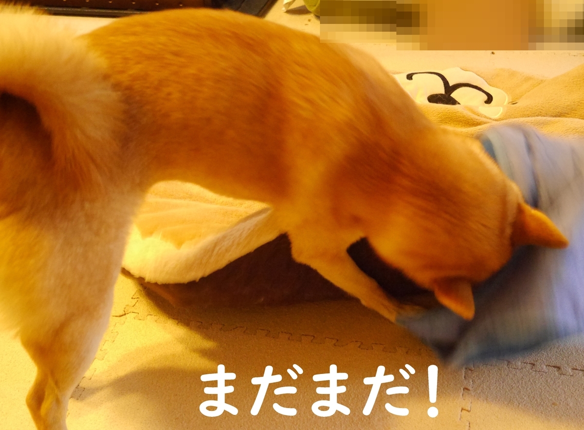 f:id:hanatara:20200921112002j:plain