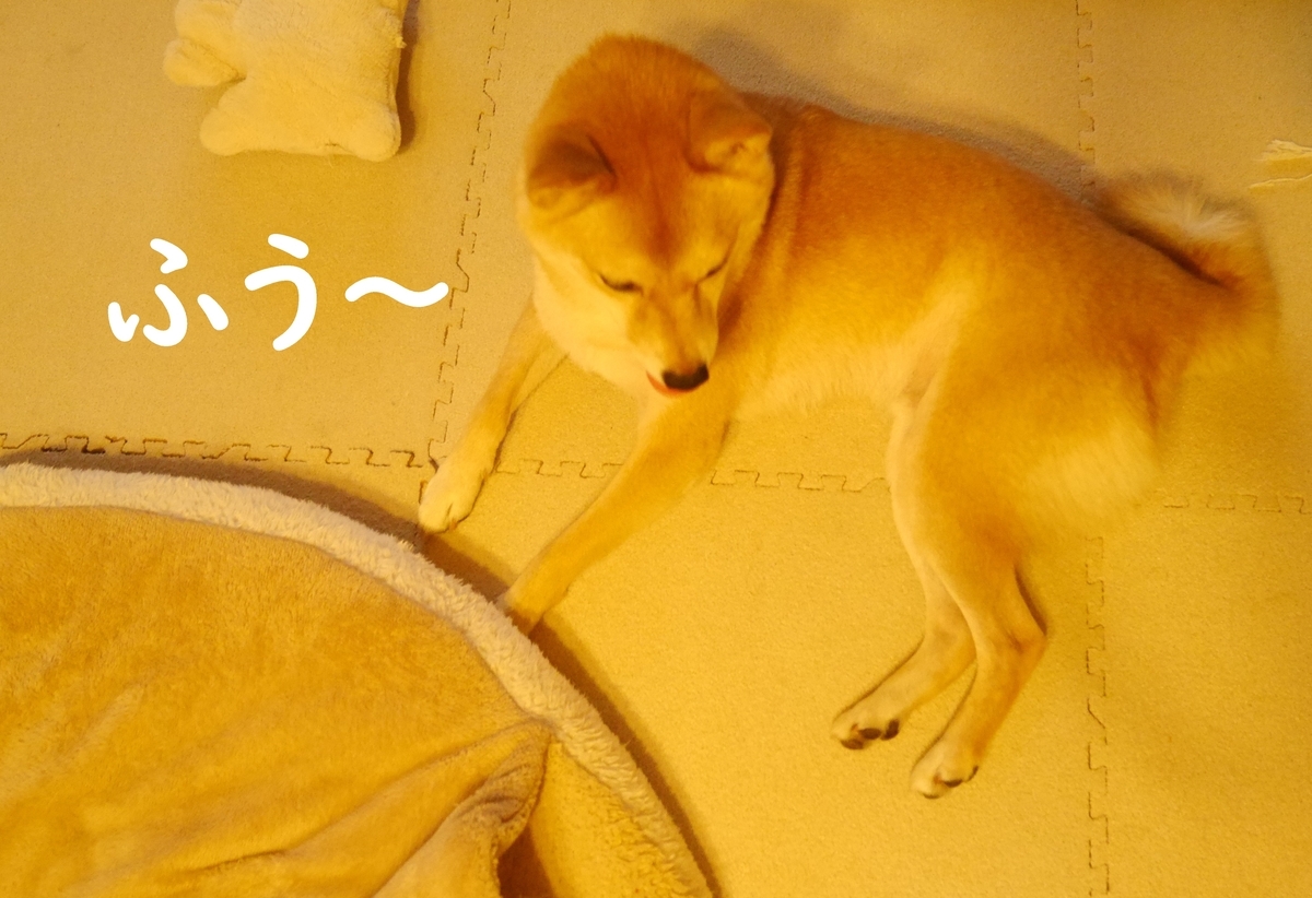 f:id:hanatara:20200921112447j:plain
