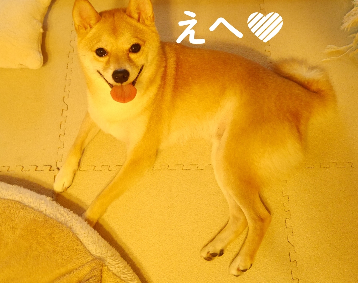 f:id:hanatara:20200921112529j:plain