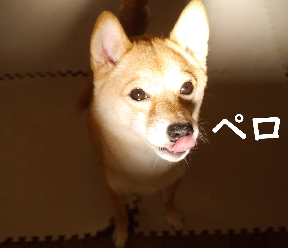 f:id:hanatara:20200922111114j:plain