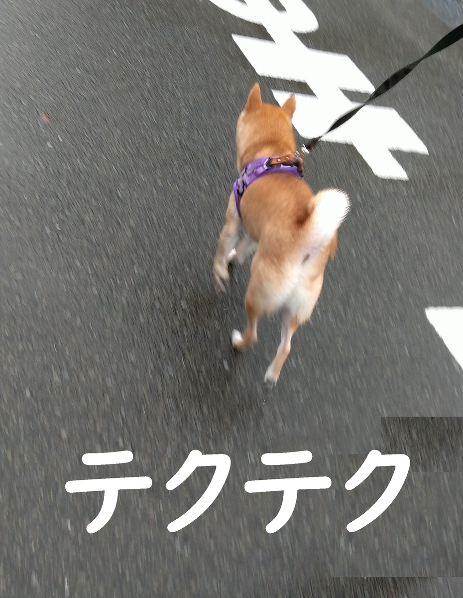f:id:hanatara:20200927104108j:plain