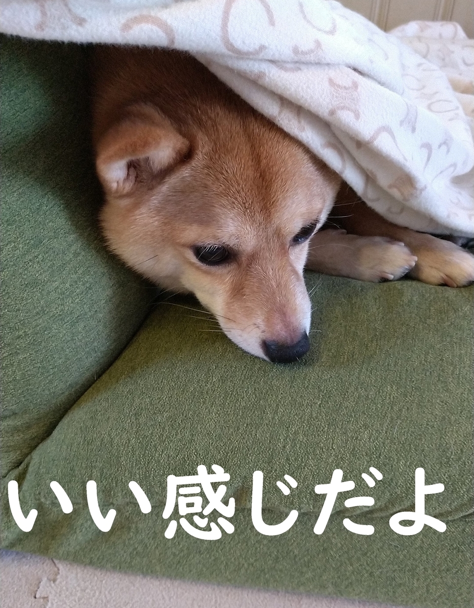f:id:hanatara:20200930130739j:plain