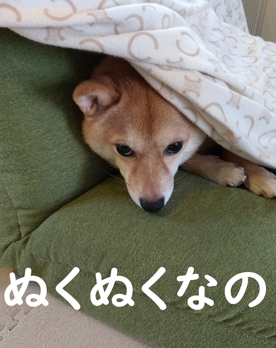 f:id:hanatara:20200930132050j:plain