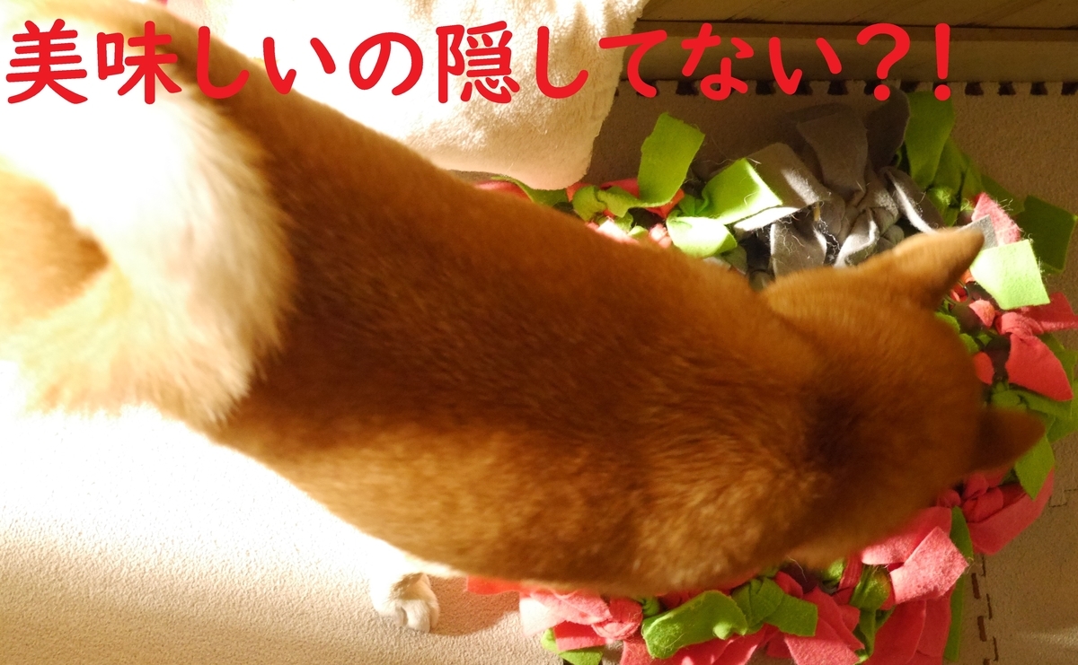 f:id:hanatara:20200930142216j:plain