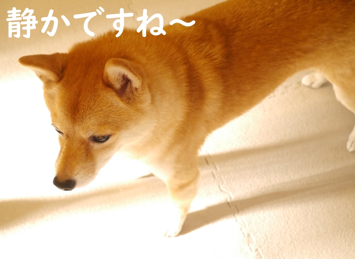 f:id:hanatara:20200930142455j:plain
