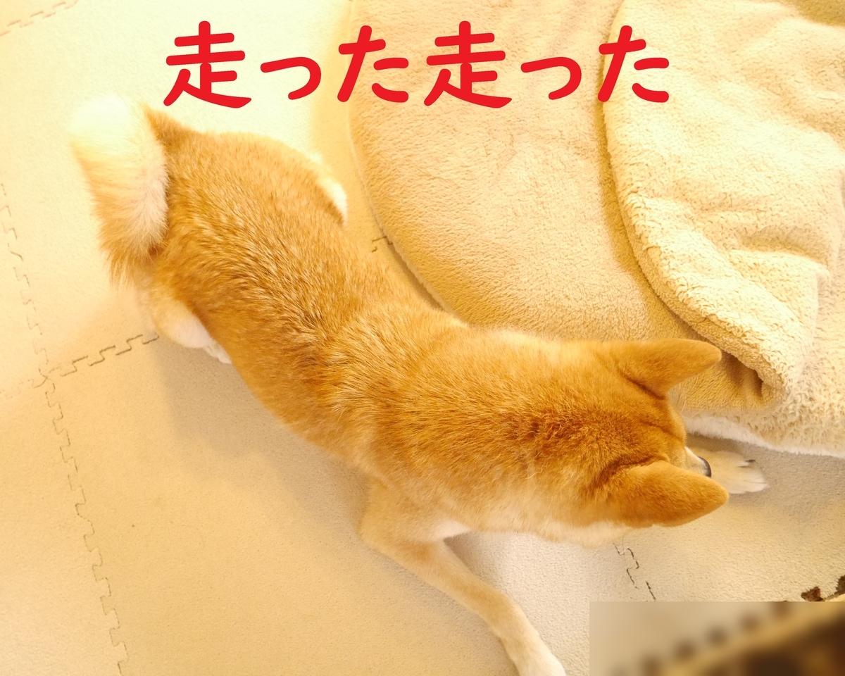 f:id:hanatara:20201003100156j:plain
