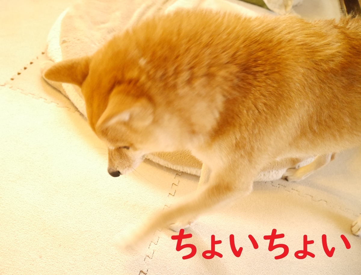 f:id:hanatara:20201003100315j:plain