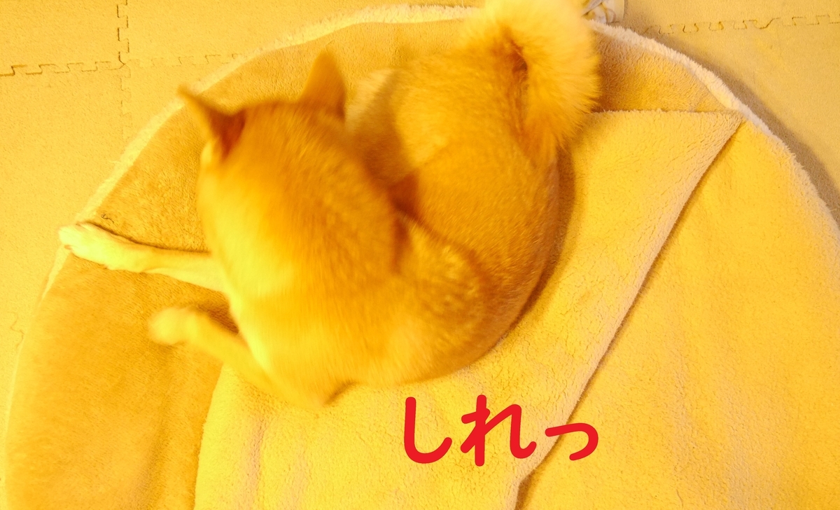 f:id:hanatara:20201009090905j:plain f:id:hanatara:20201009090905j:plain