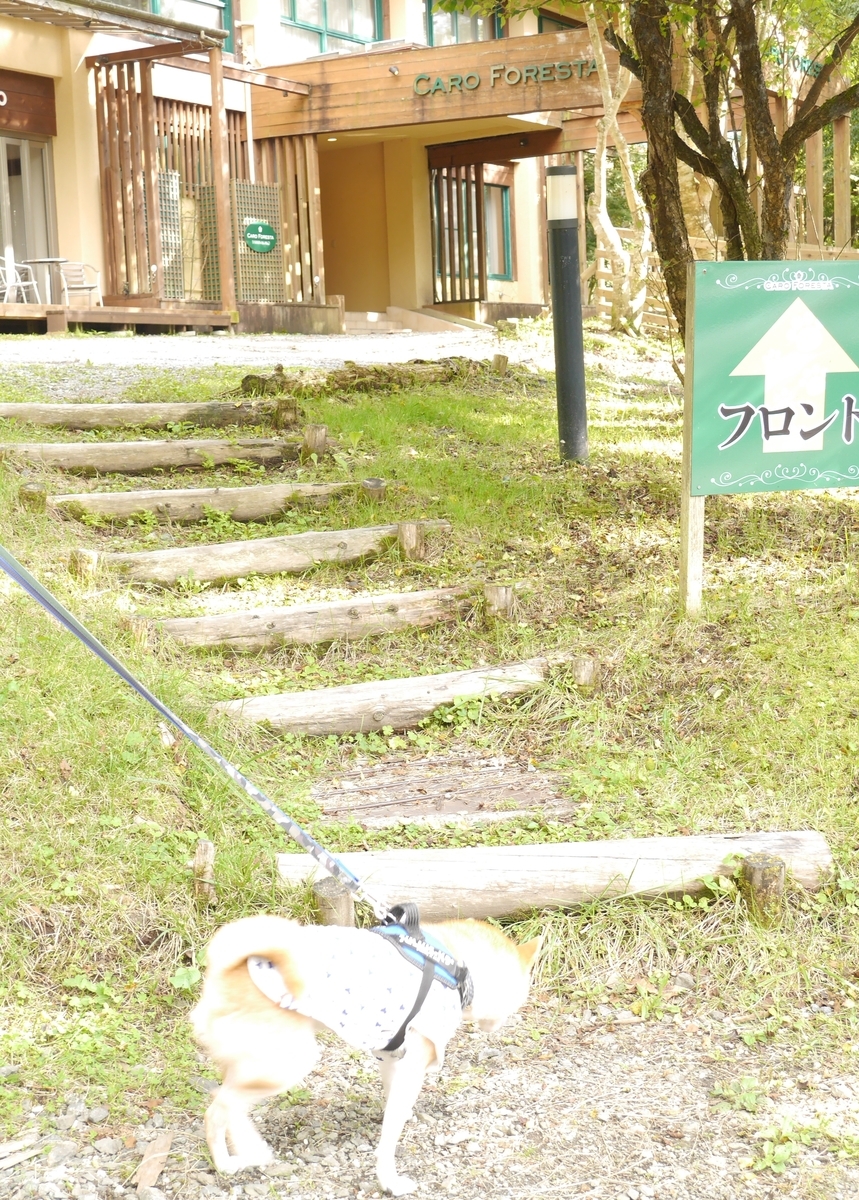 f:id:hanatara:20201017102755j:plain