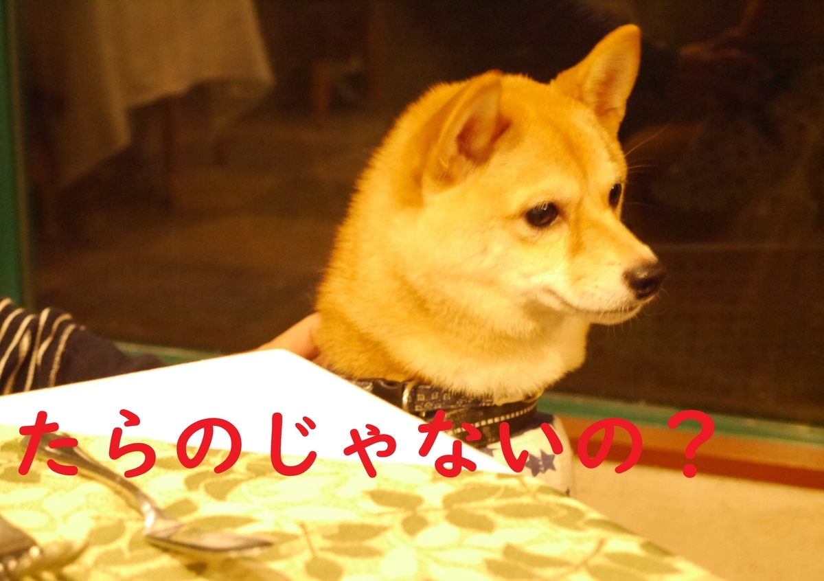 f:id:hanatara:20201017103651j:plain