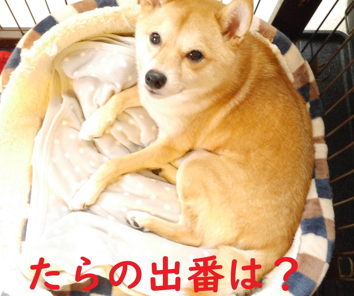 f:id:hanatara:20201021090950j:plain