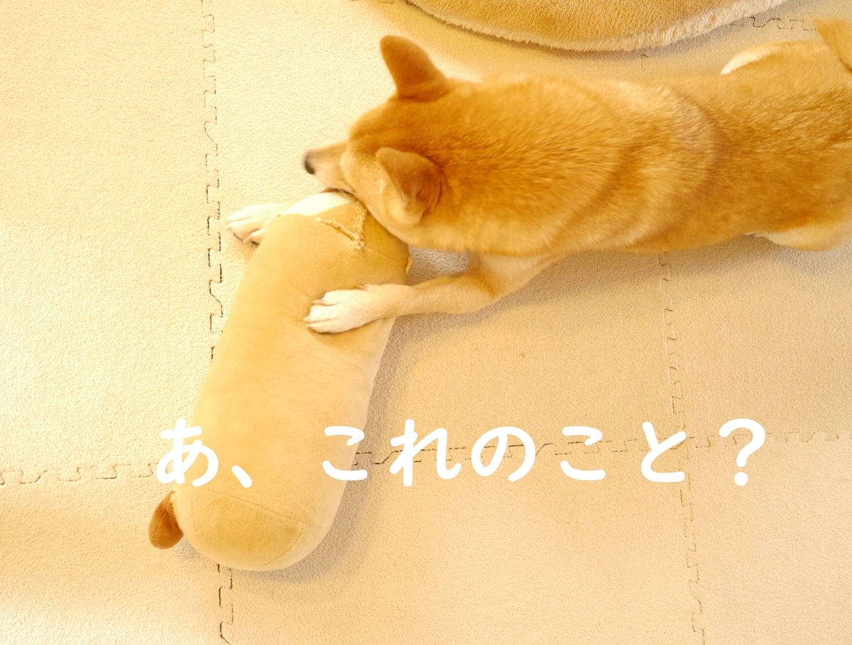 f:id:hanatara:20201021105605j:plain