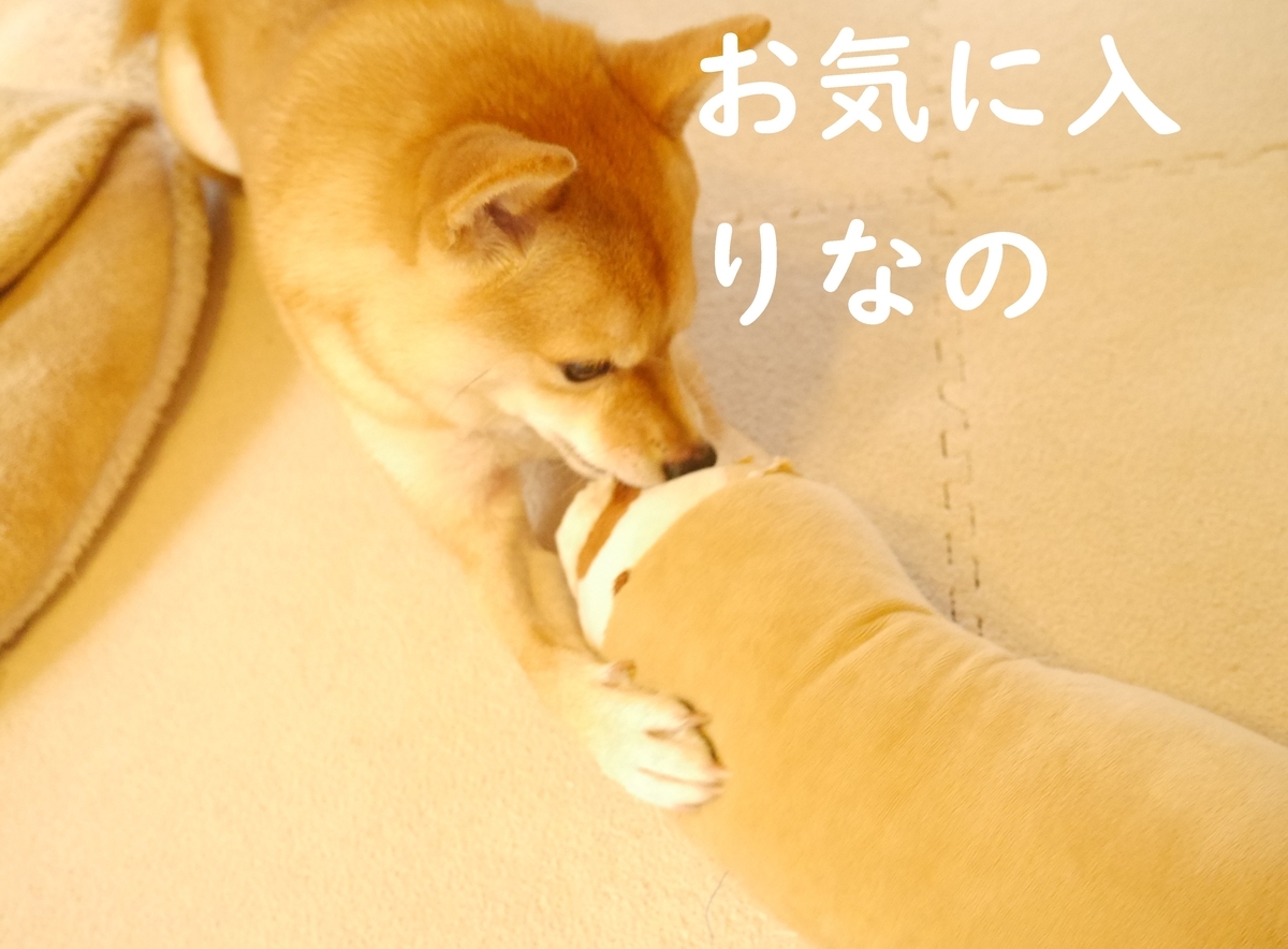 f:id:hanatara:20201021105922j:plain