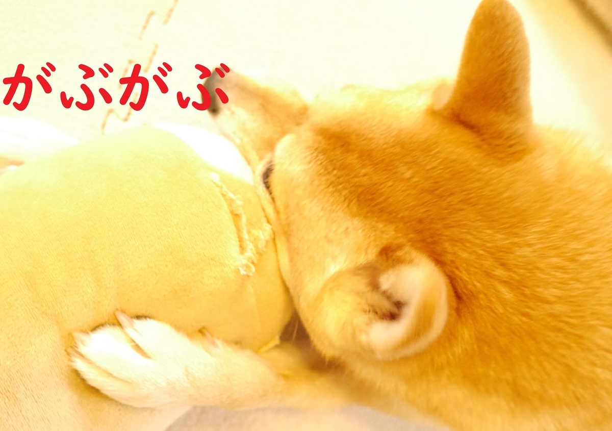 f:id:hanatara:20201021110056j:plain