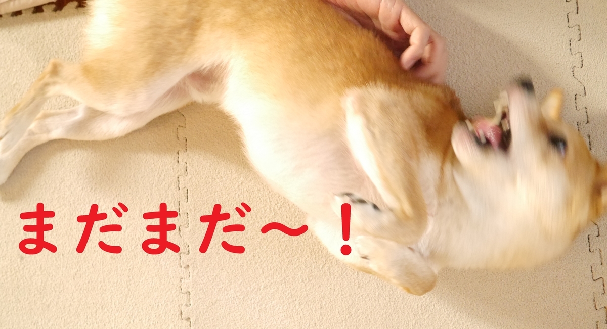 f:id:hanatara:20201025083206j:plain f:id:hanatara:20201025083206j:plain