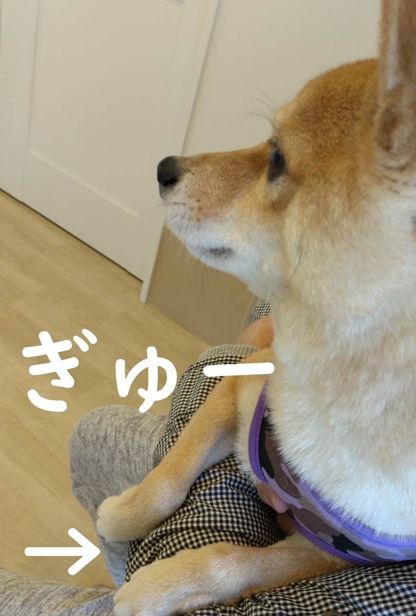 f:id:hanatara:20201025140704j:plain