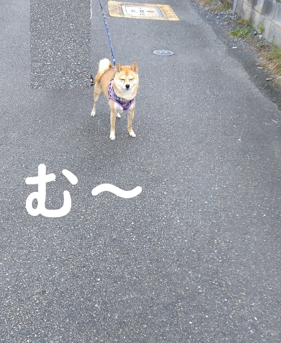 f:id:hanatara:20201025141346j:plain