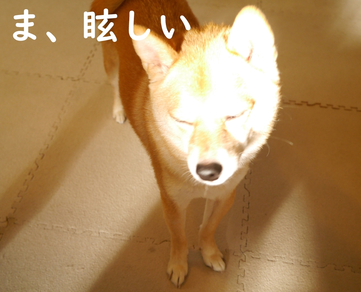 f:id:hanatara:20201025151811j:plain