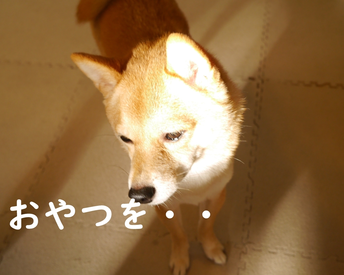 f:id:hanatara:20201025151918j:plain