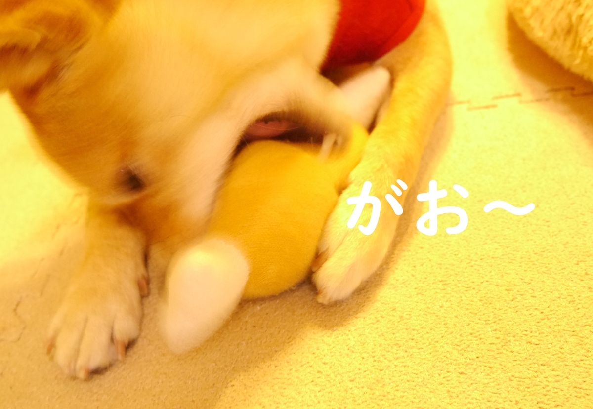 f:id:hanatara:20201028074135j:plain