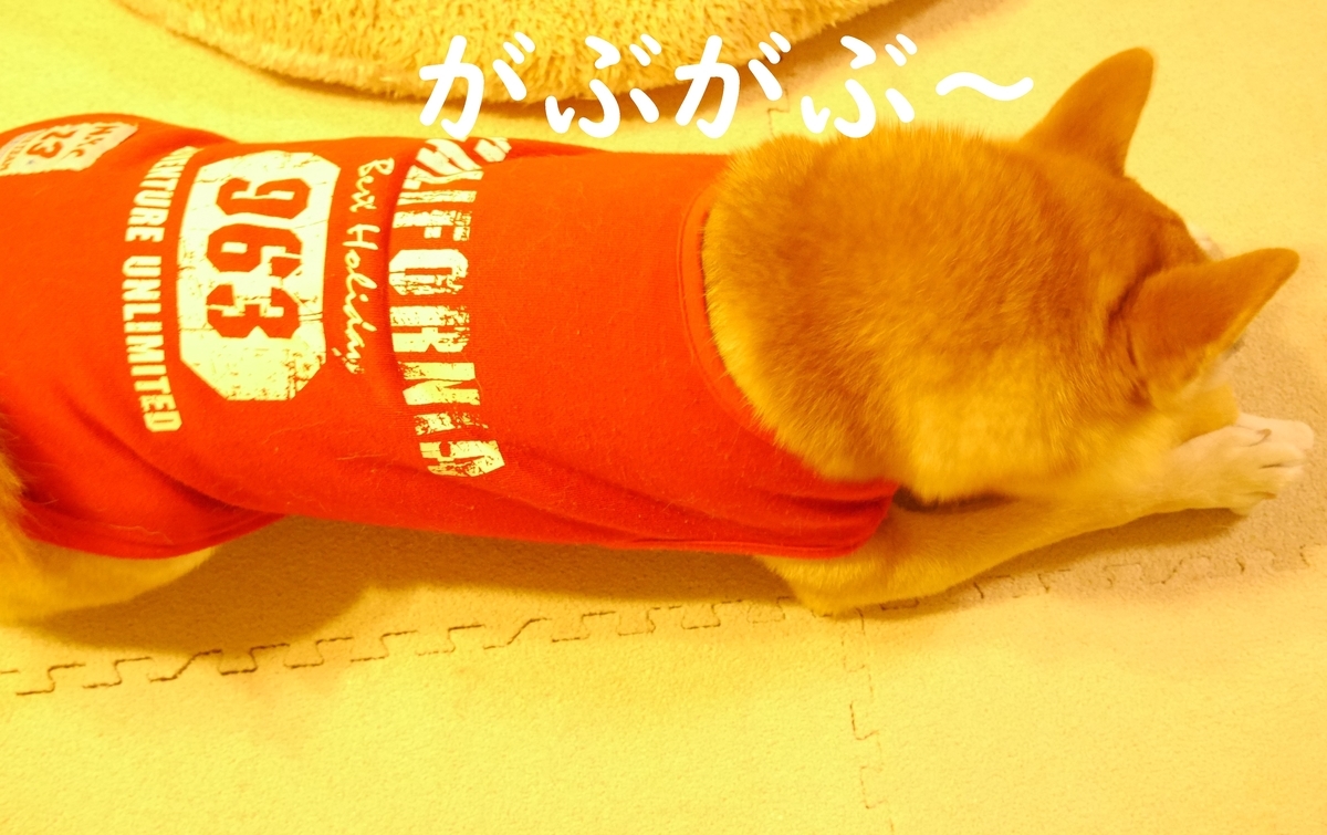 f:id:hanatara:20201028074636j:plain