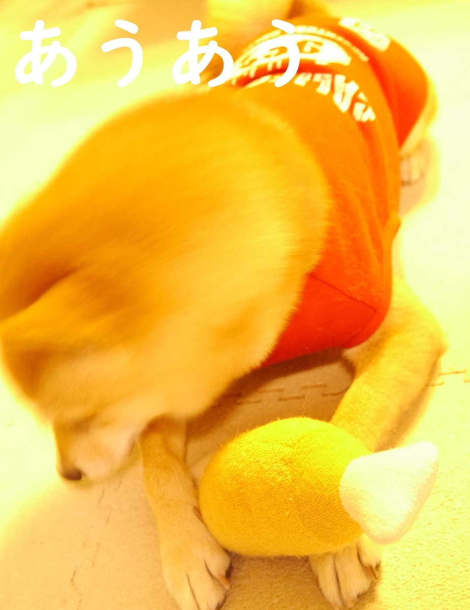 f:id:hanatara:20201028074746j:plain