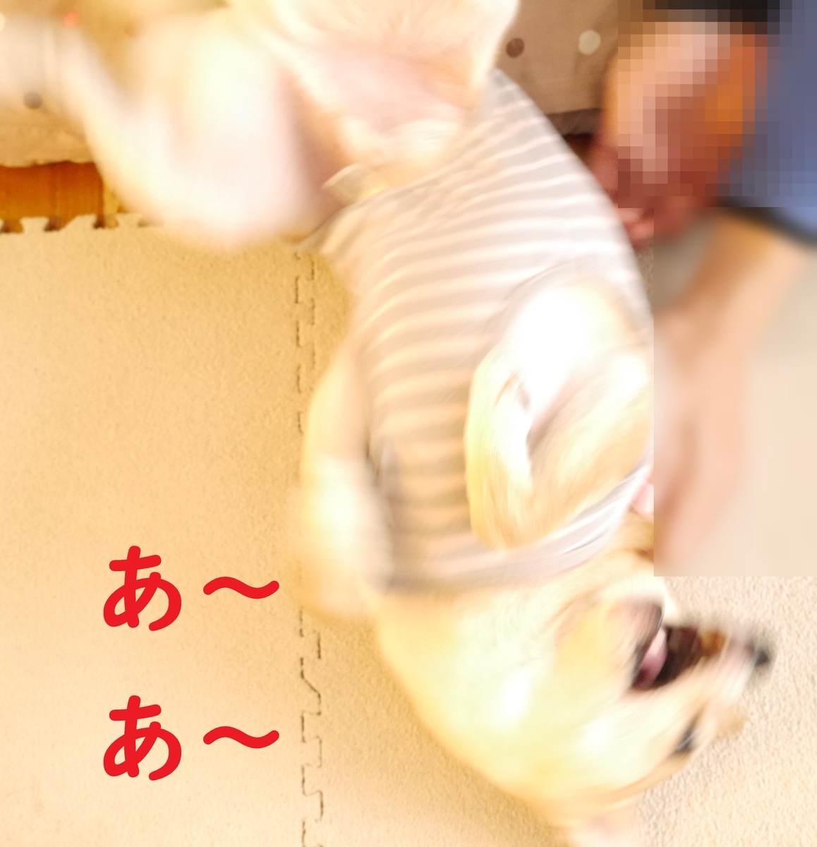 f:id:hanatara:20201103093833j:plain