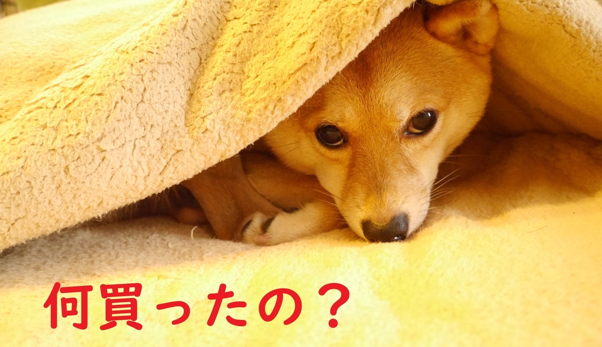 f:id:hanatara:20201107102319j:plain f:id:hanatara:20201107102319j:plain