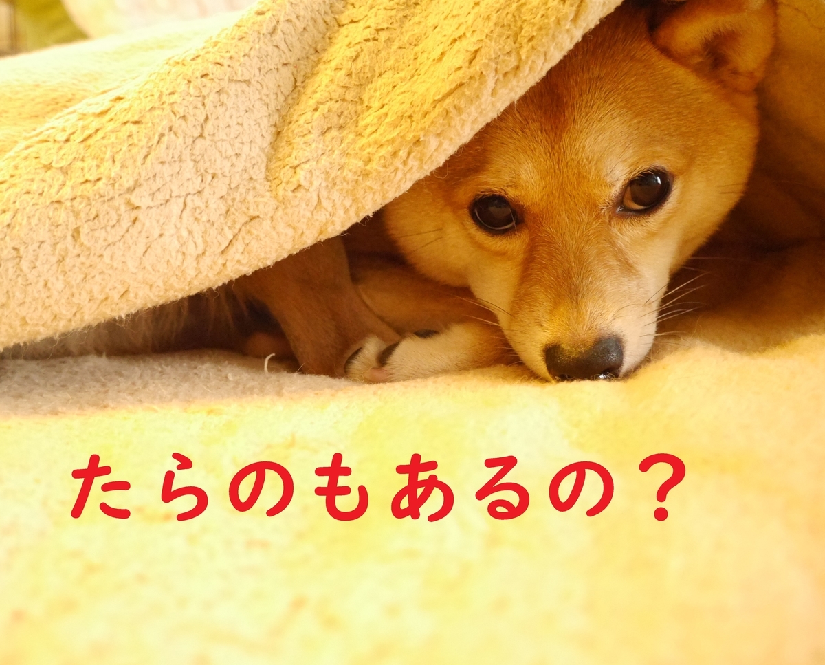 f:id:hanatara:20201107102422j:plain f:id:hanatara:20201107102422j:plain