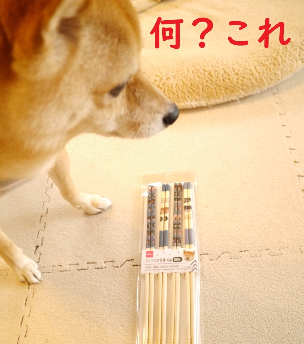 f:id:hanatara:20201107102657j:plain f:id:hanatara:20201107102657j:plain