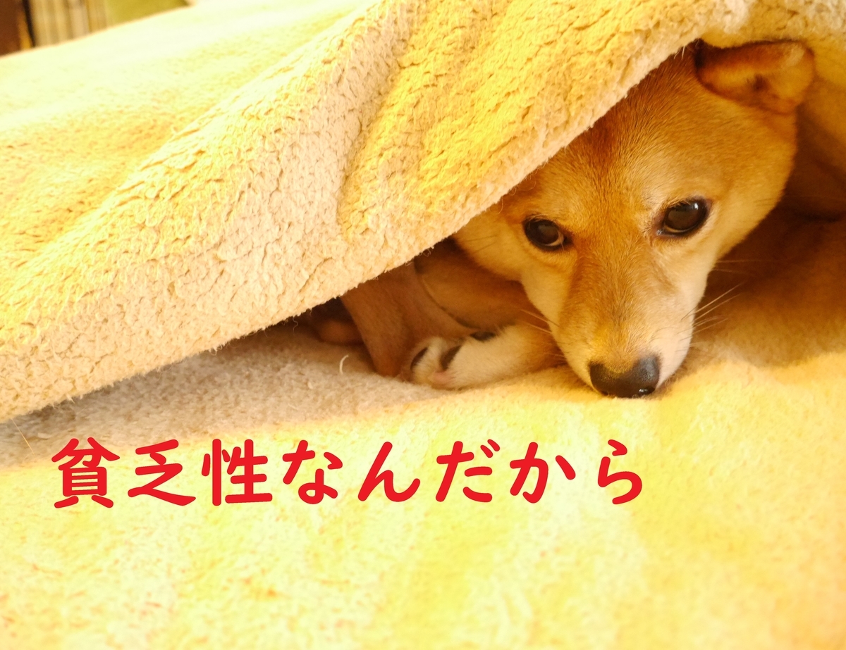 f:id:hanatara:20201107103357j:plain f:id:hanatara:20201107103357j:plain