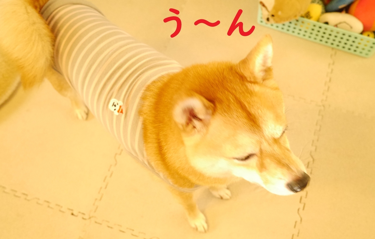 f:id:hanatara:20201107105540j:plain