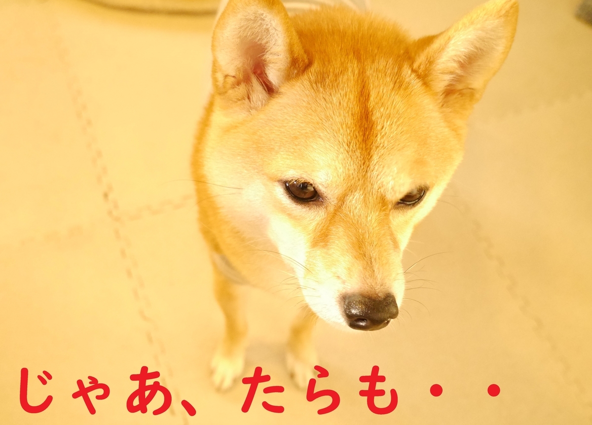 f:id:hanatara:20201107110050j:plain