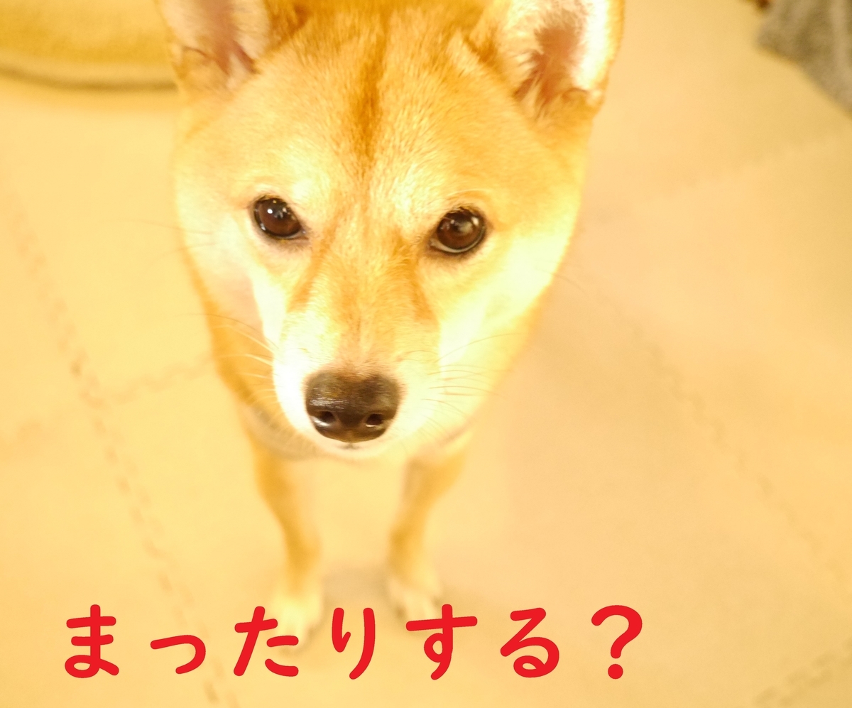f:id:hanatara:20201107110110j:plain
