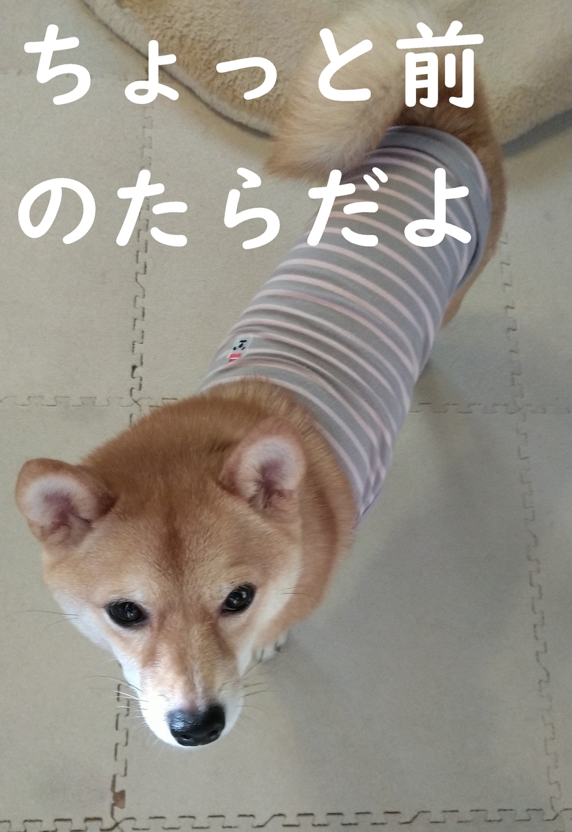 f:id:hanatara:20201115140312j:plain