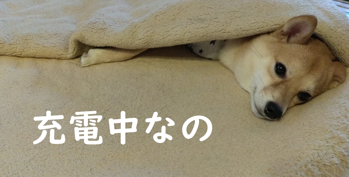 f:id:hanatara:20201120111947j:plain
