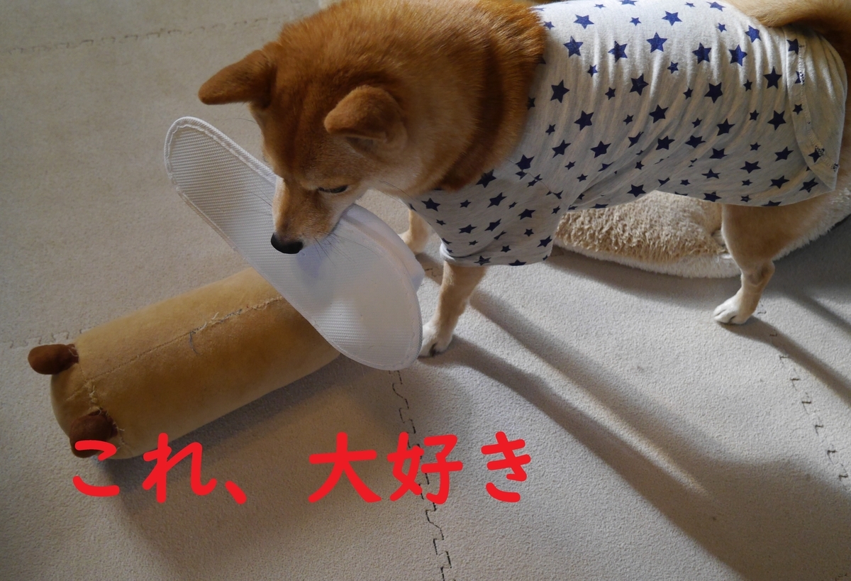f:id:hanatara:20201121115244j:plain