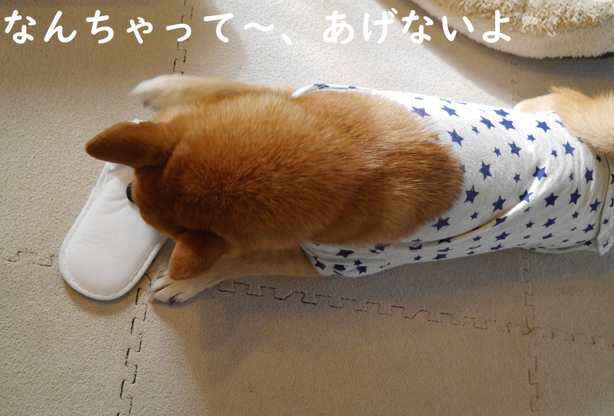 f:id:hanatara:20201121120030j:plain