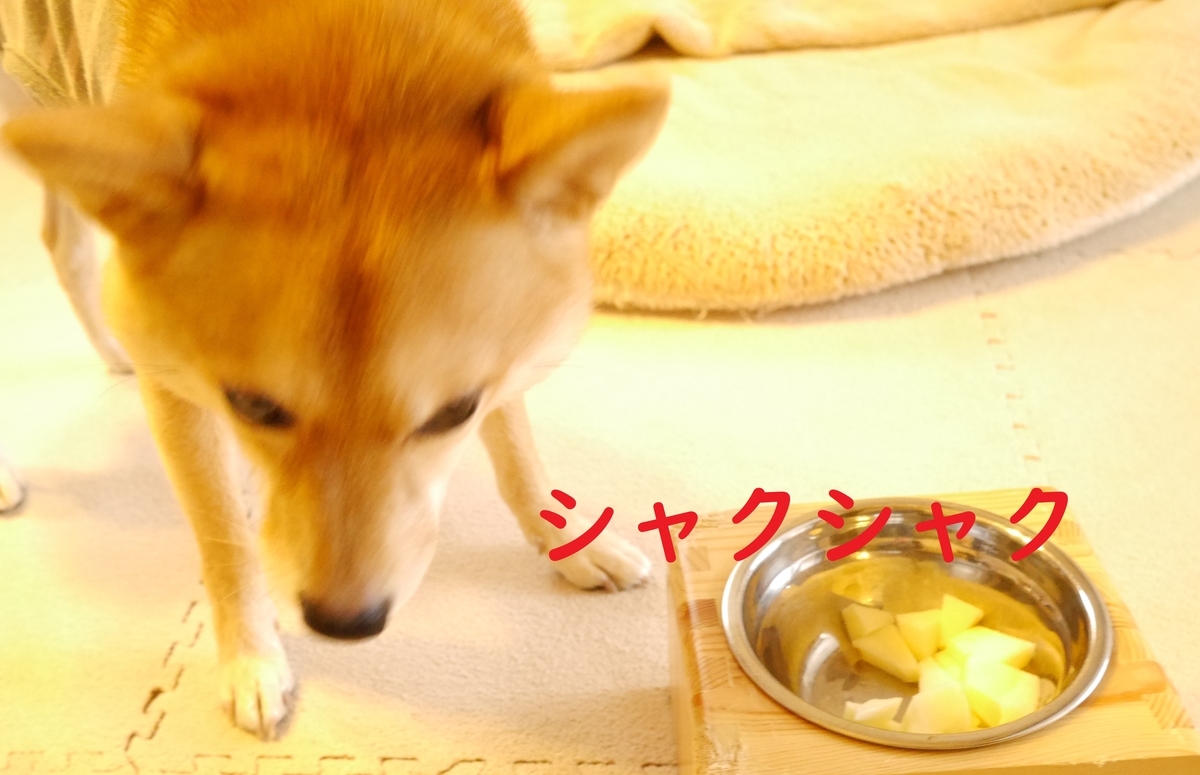 f:id:hanatara:20201121125836j:plain