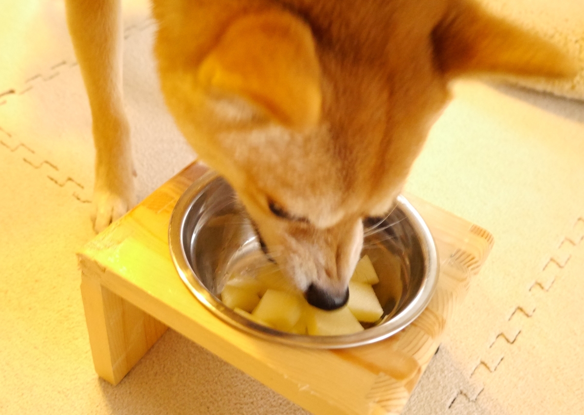 f:id:hanatara:20201121130024j:plain