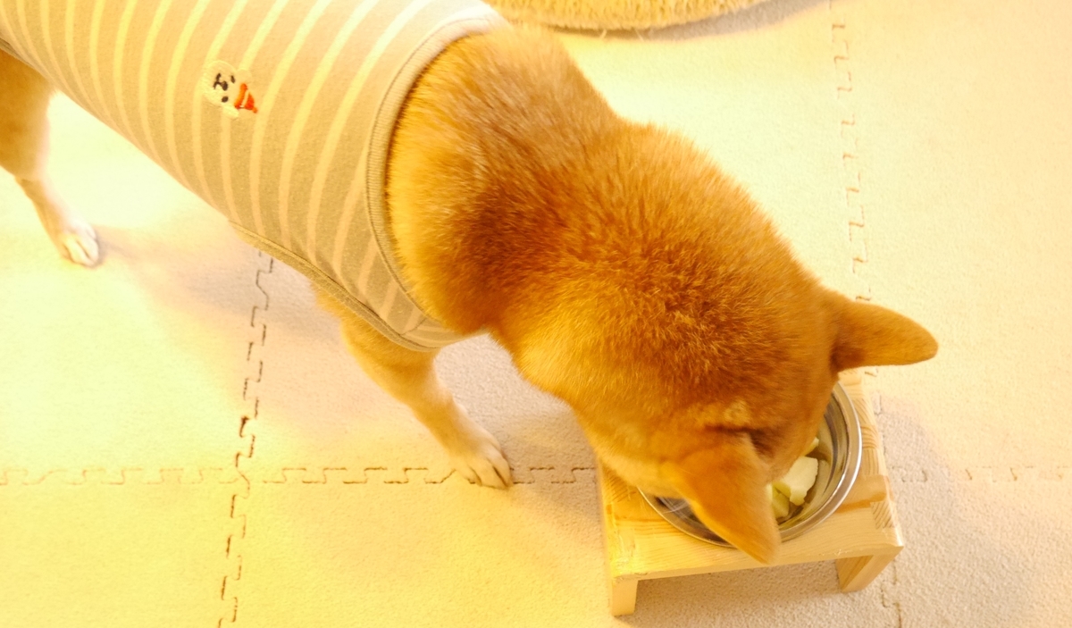f:id:hanatara:20201121130247j:plain
