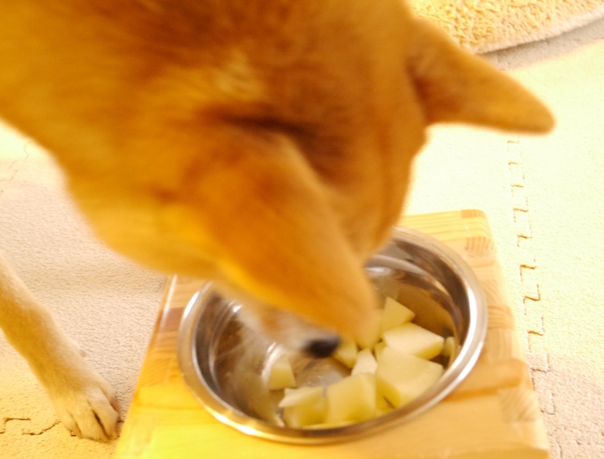 f:id:hanatara:20201121130306j:plain
