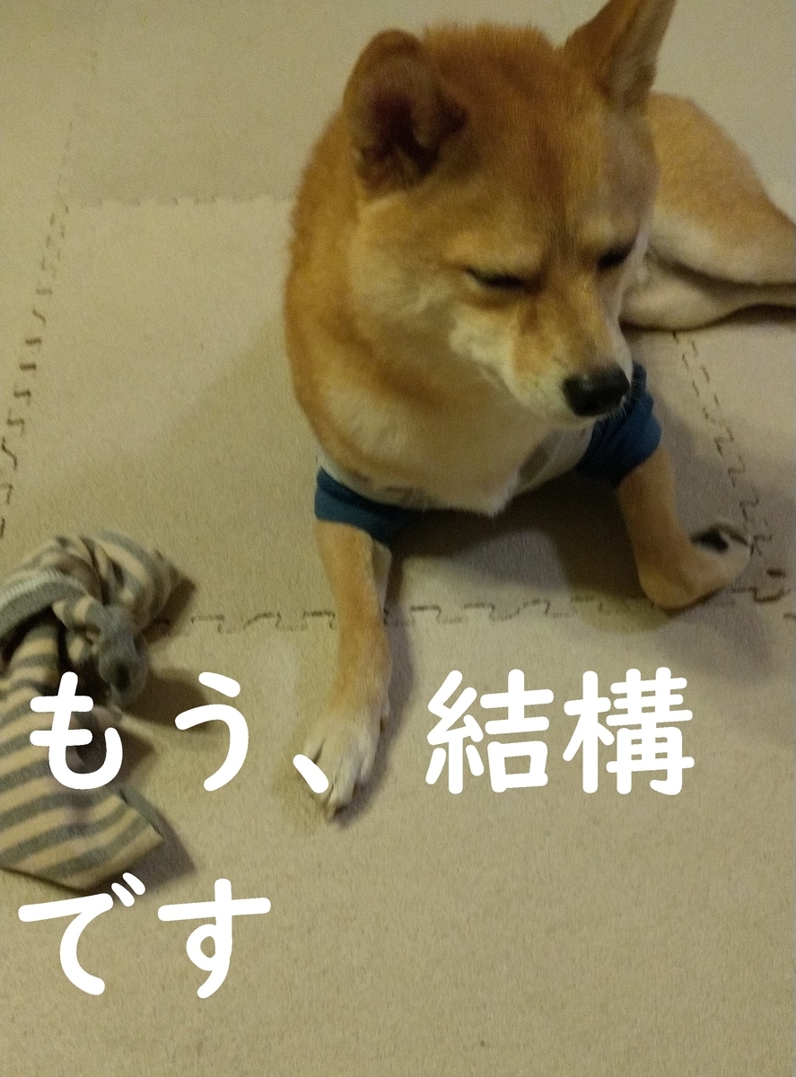 f:id:hanatara:20201127093145j:plain
