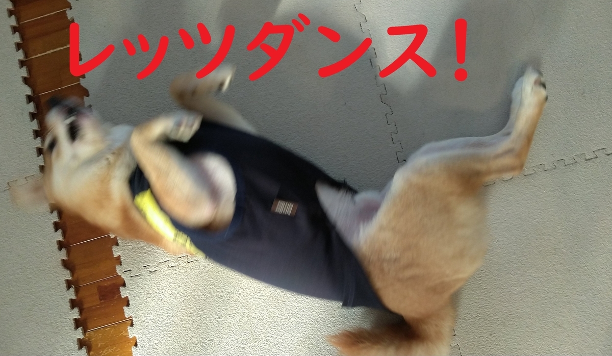 f:id:hanatara:20201212111004j:plain