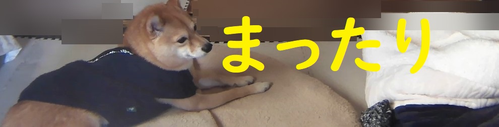 f:id:hanatara:20201219111443j:plain