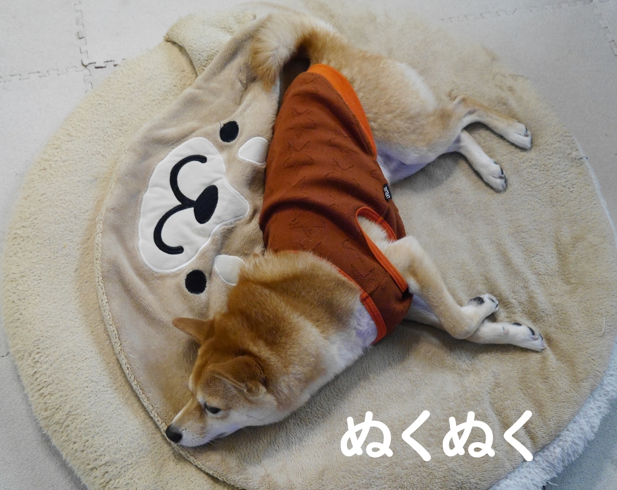 f:id:hanatara:20201223073718j:plain