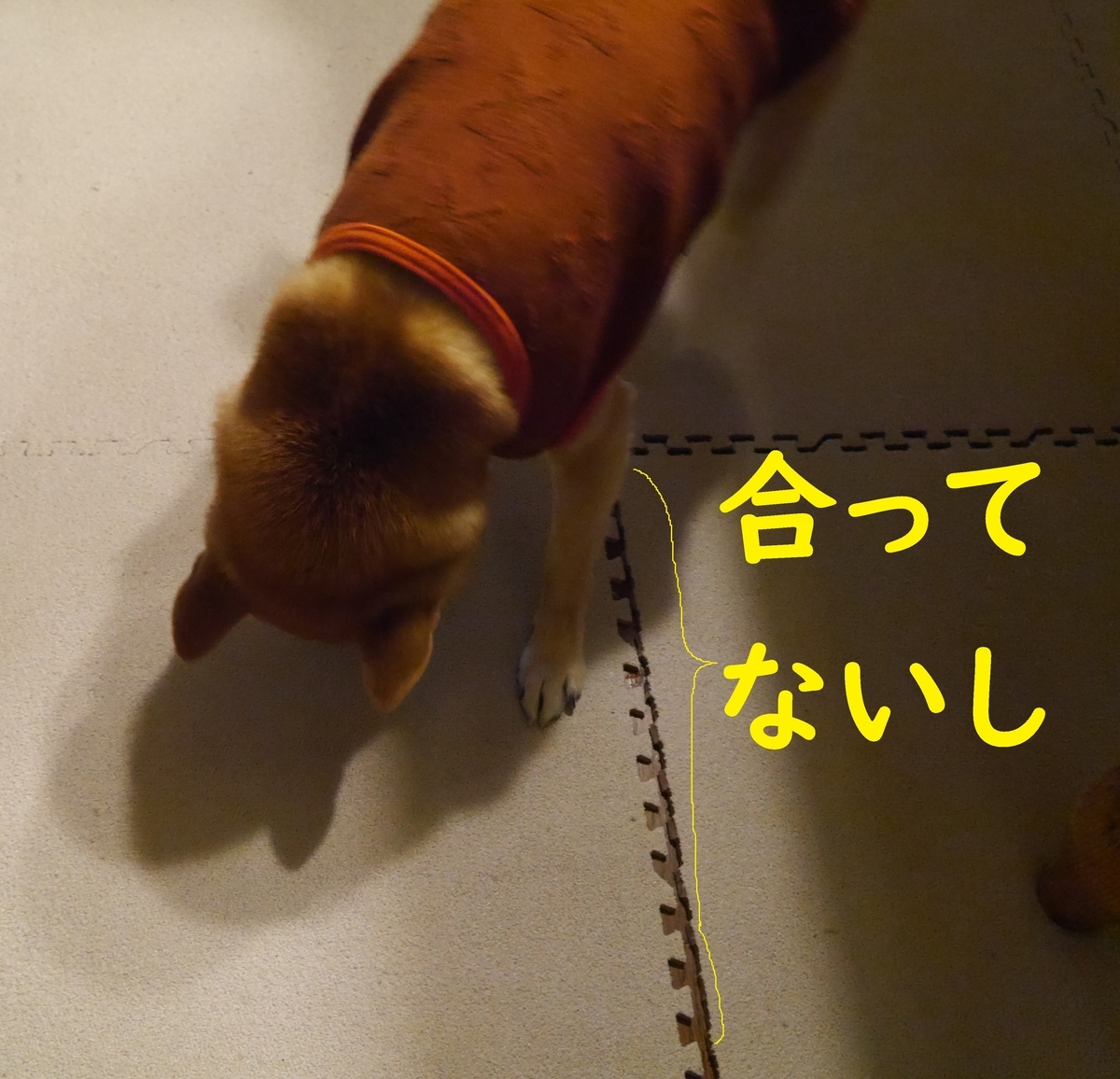 f:id:hanatara:20201223081520j:plain