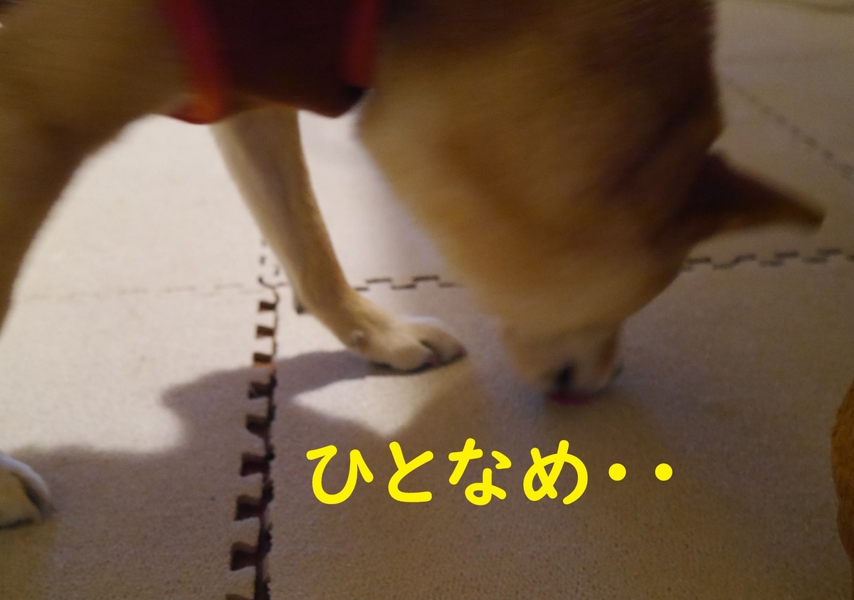 f:id:hanatara:20201223082121j:plain
