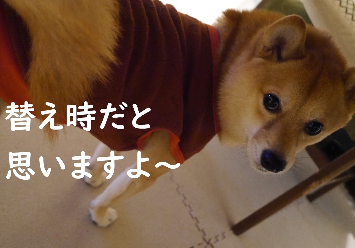 f:id:hanatara:20201223082212j:plain